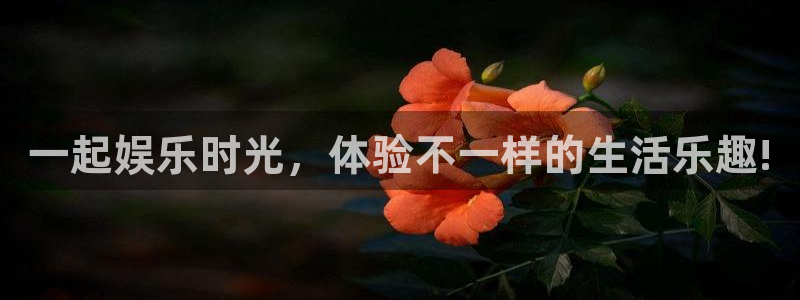 环球360一比一上分：一起娱乐时光，体验不一样的生活乐趣!