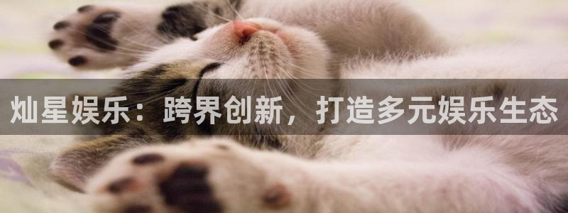 环球360官网会员注册：灿星娱乐：跨界创新，打造多元娱乐生态